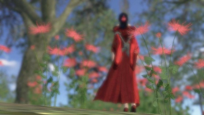 为什么日本经济下降，大学排名跌至谷底，还有那么多人挤破脑袋去日本留学？